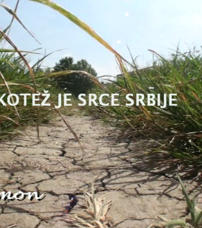 Kotež je srce Srbije