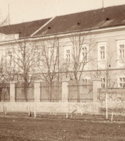 Sanatorijum dr Vladimira Aleksića i Ruska bolnica