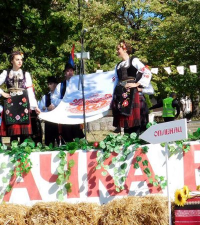 Oplenačka berba u slavu vina i života