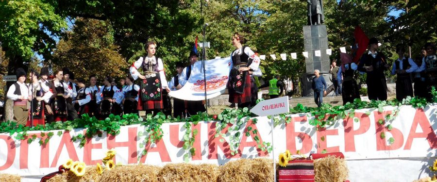 Oplenačka berba u slavu vina i života