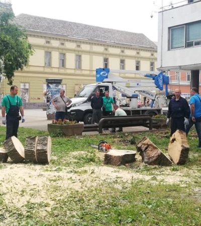 Gradski park na udaru naprednjačke destrukcije