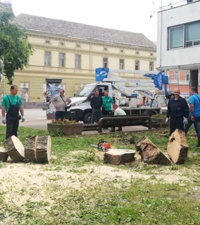 Gradski park na udaru naprednjačke destrukcije