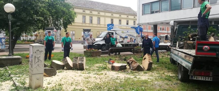 Gradski park na udaru naprednjačke destrukcije