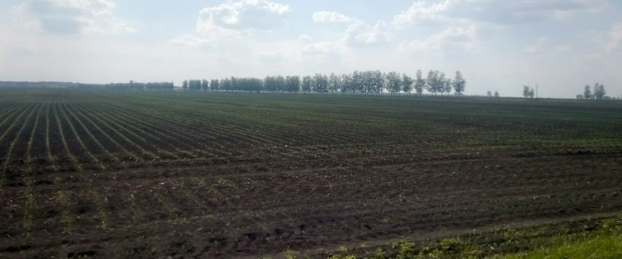 Kod dva desperadosa