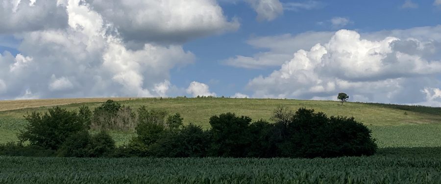 Juče, danas, sutra