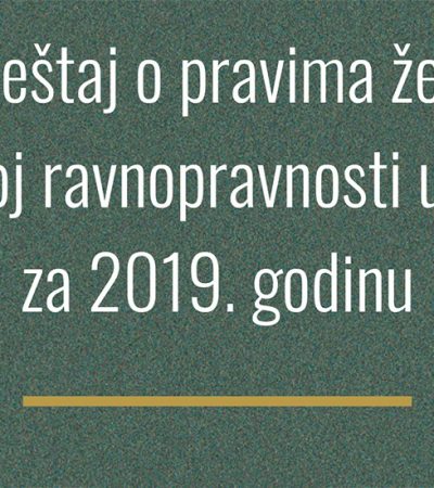 Prava žena i rodna ravnopravnost u 2019. godini: nulti izveštaj