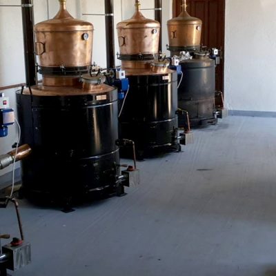 Iz Banatskog Novog Sela stiže „Tzuga”