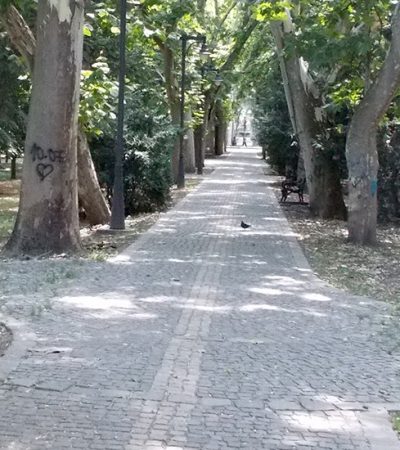 Vršački većnik Jovanov odmaže zaštitu Parka u ovom gradu