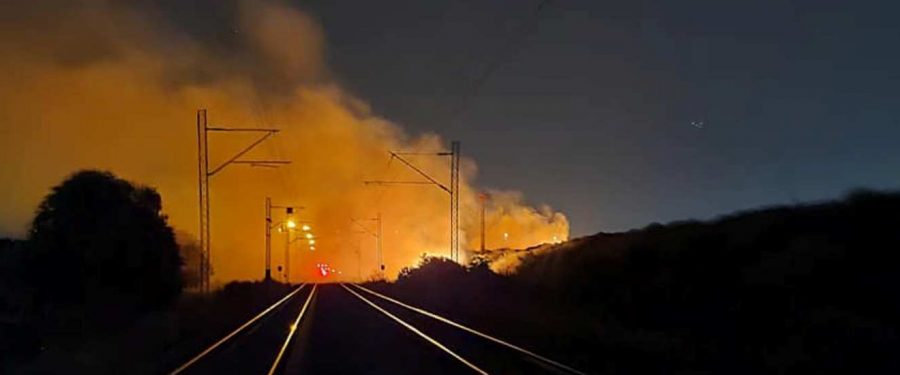 Badava visoka tehnologija u Gradu Budućnosti kad je vazduh nepodnošljivo zagađen