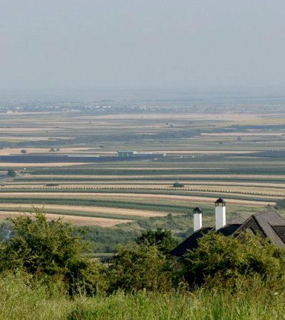 Lek od bakinog lišća