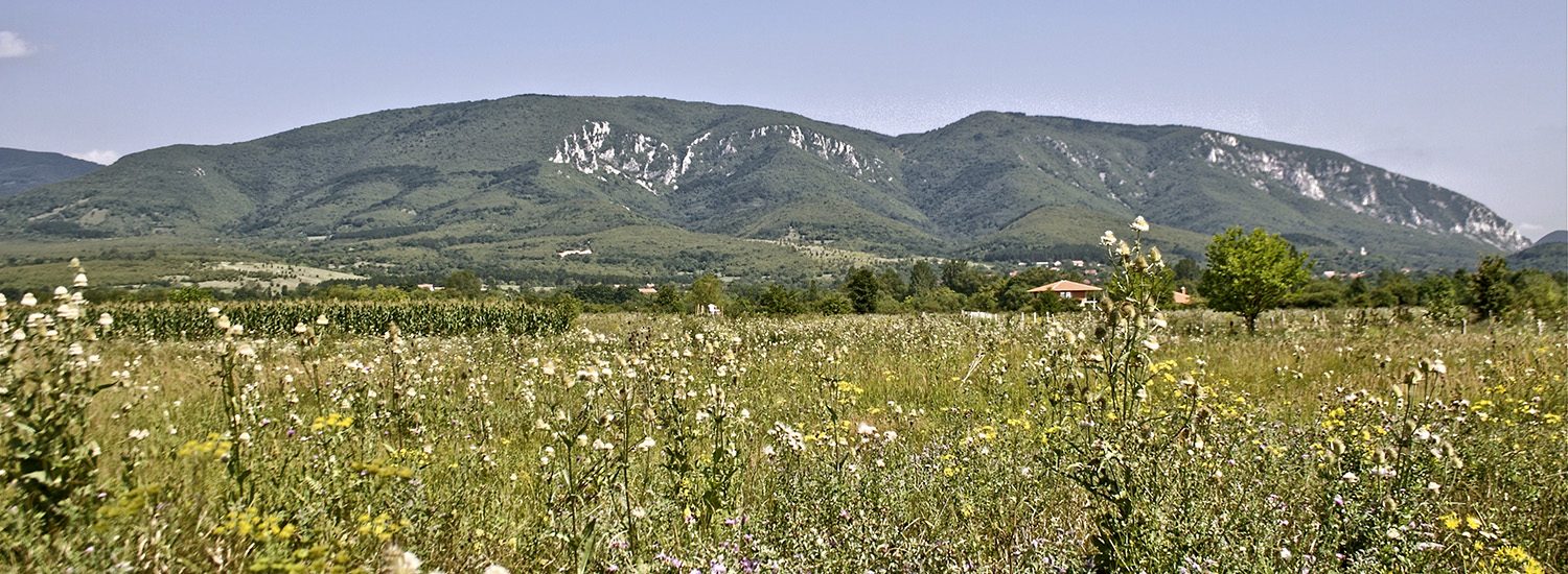 Pančevo.city