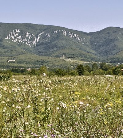 Vodimo vas u Homolje: Lepota očuvane prirode