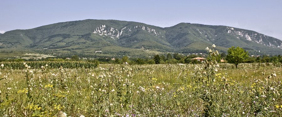 Vodimo vas u Homolje: Lepota očuvane prirode