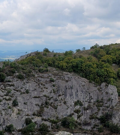 Istraživanje Sokobanje i pričanje sa drvećem