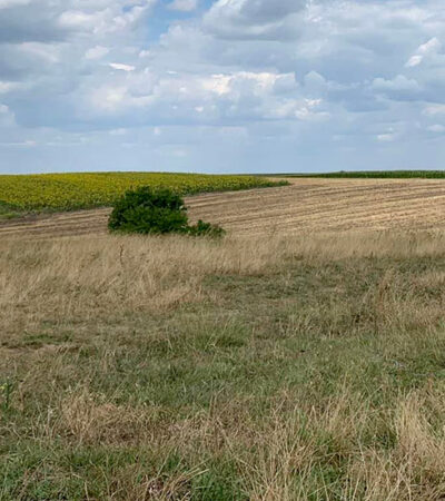 Doline kod Padine postaju rezervat prirode