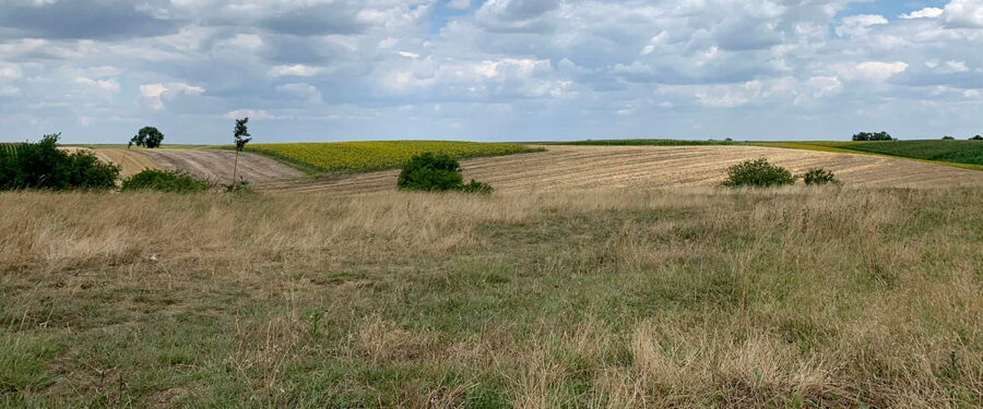 Doline kod Padine postaju rezervat prirode