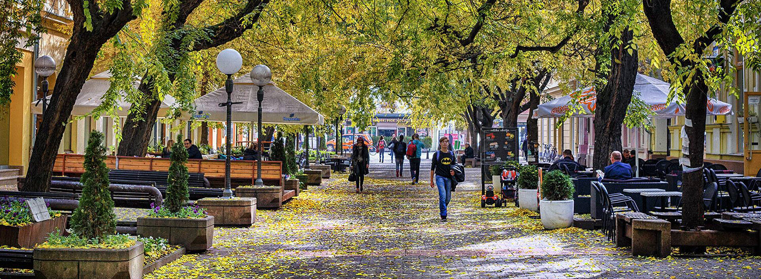 Pančevo.city