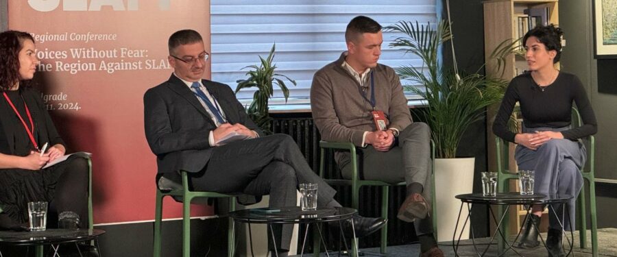 SLAPP tužbe: potencijalne žrtve i modeli zaštite