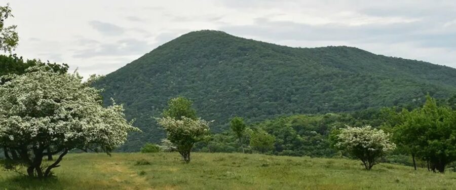 Gradnja radara na Vršačkim planinama je protivzakonita!