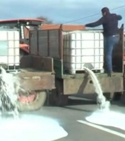 Da li ste ikada pili pravo mleko?