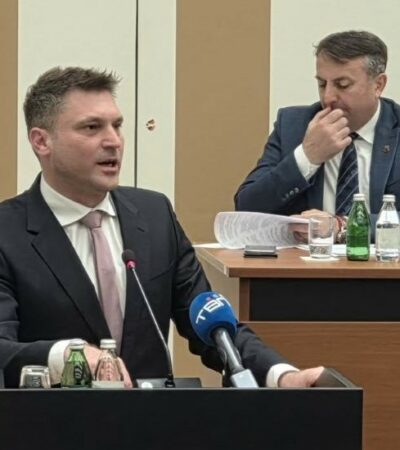 Deseta sednica: Da li je moguće da je Stevanovića zbog nečega sramota?